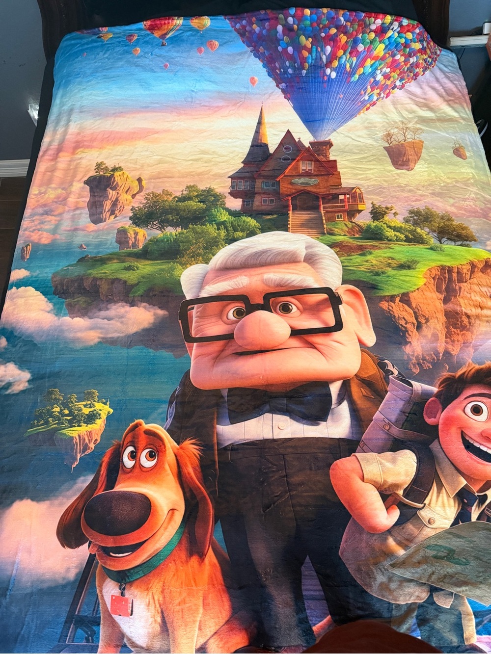Up soft blanket 60”x80”